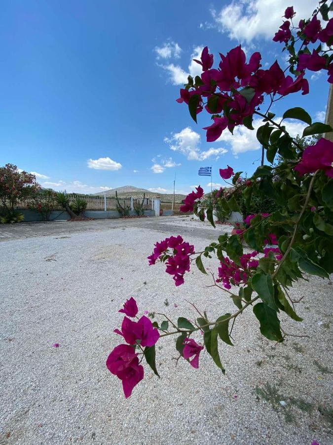Leonidas Resort Ermioni Luaran gambar